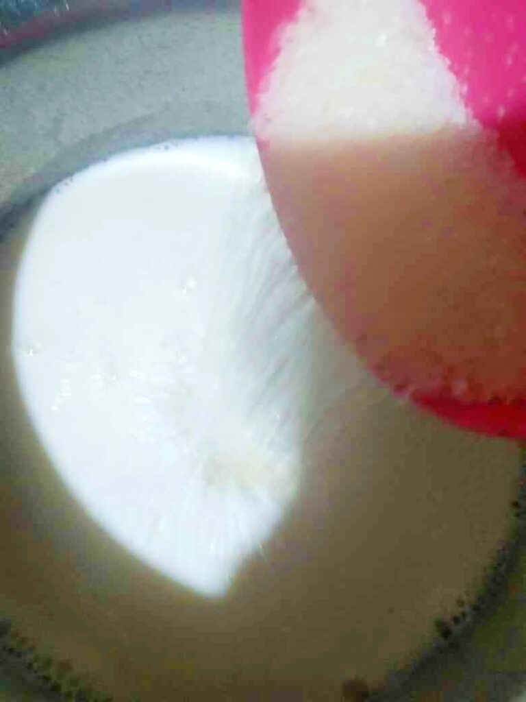 Best Almond Milk (Badam Milk)