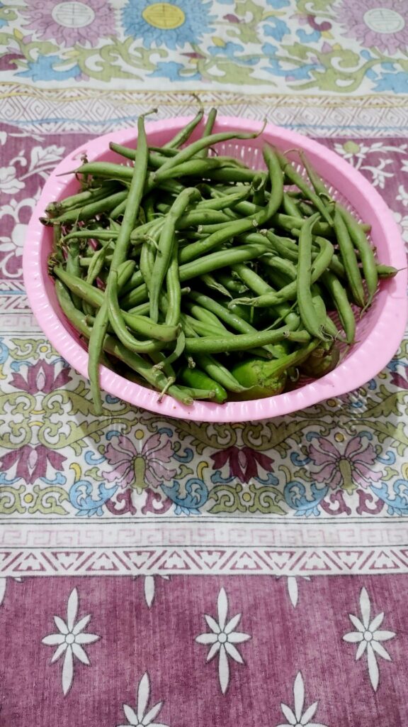 French Beans Recipe (french beans recipe Indian)